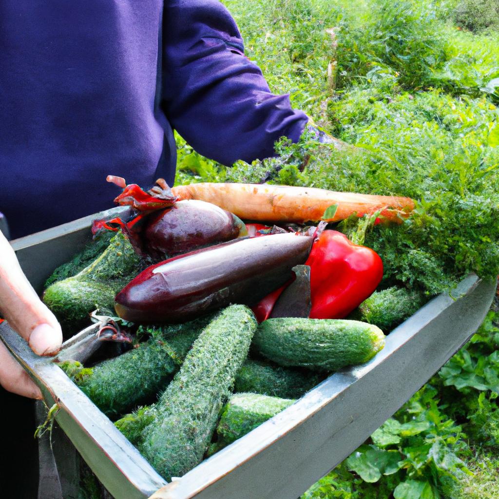 Person harvesting fresh vegetables outdoors