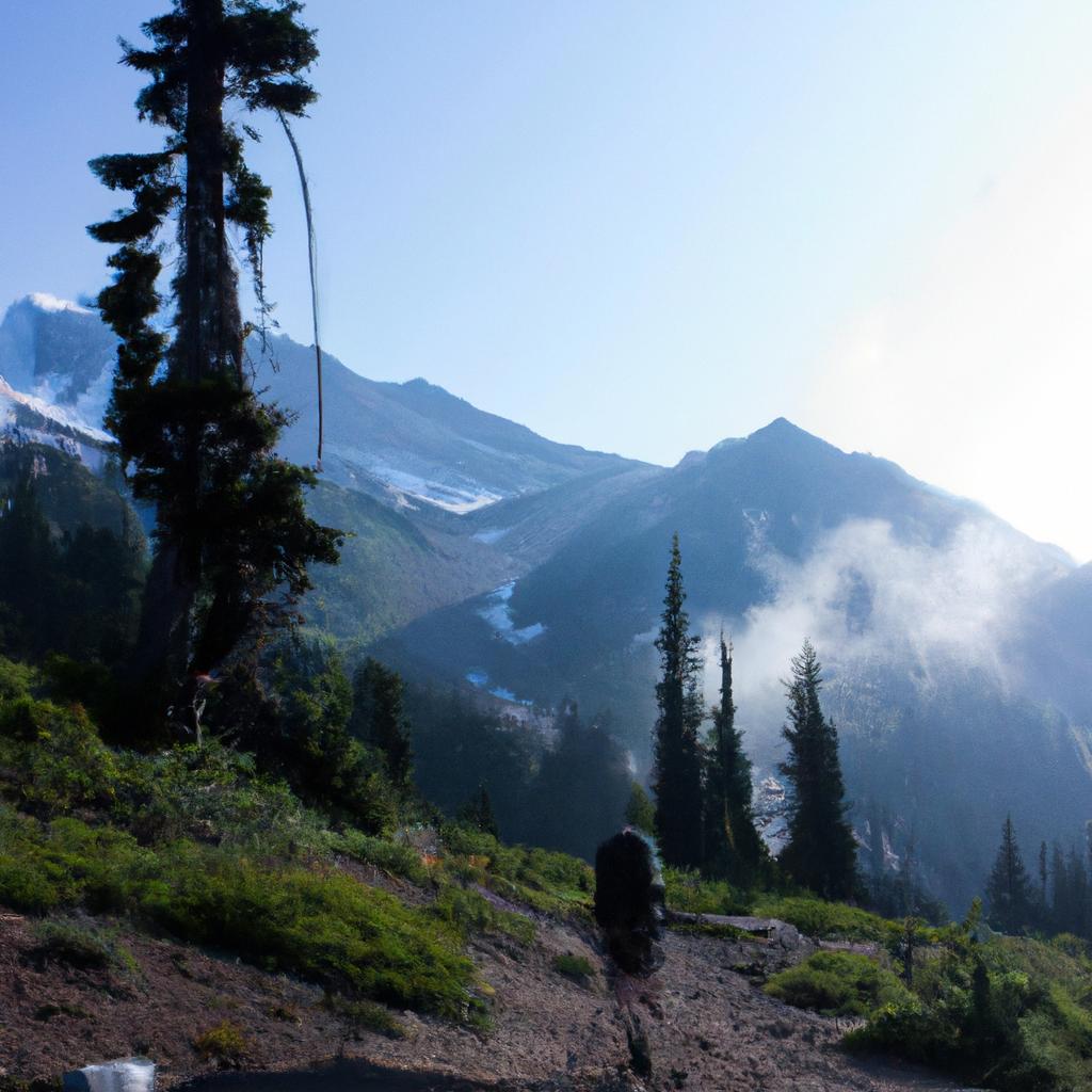 Person hiking in Mount Rainier